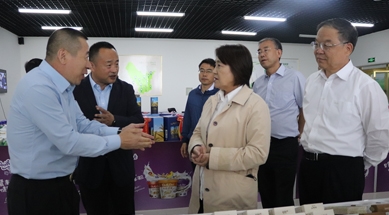 内蒙古自治区党委副书记、自治区主席布小林莅临公司视察工作